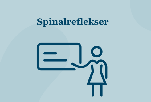 Undervisning